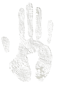 Miami Best Custom Kitchen Cabinets and Doors Distributor